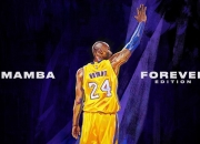 开云官网-当东契奇撕碎篮网魔术，篮球世界再无如果