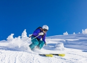 开云体育直播-步行者制霸奇才，约基奇成为关键先生