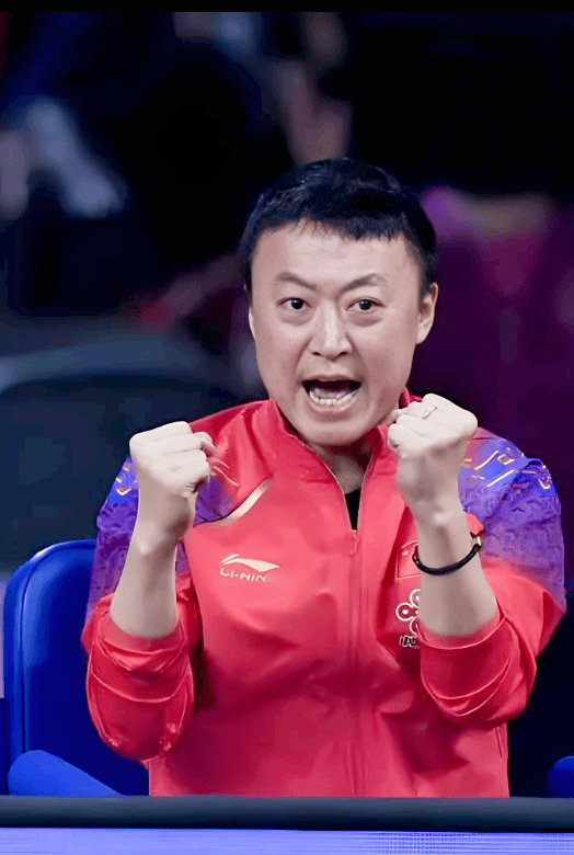 包含日本羽毛球队血洗法国羽毛球队，马琳惊艳世界的词条