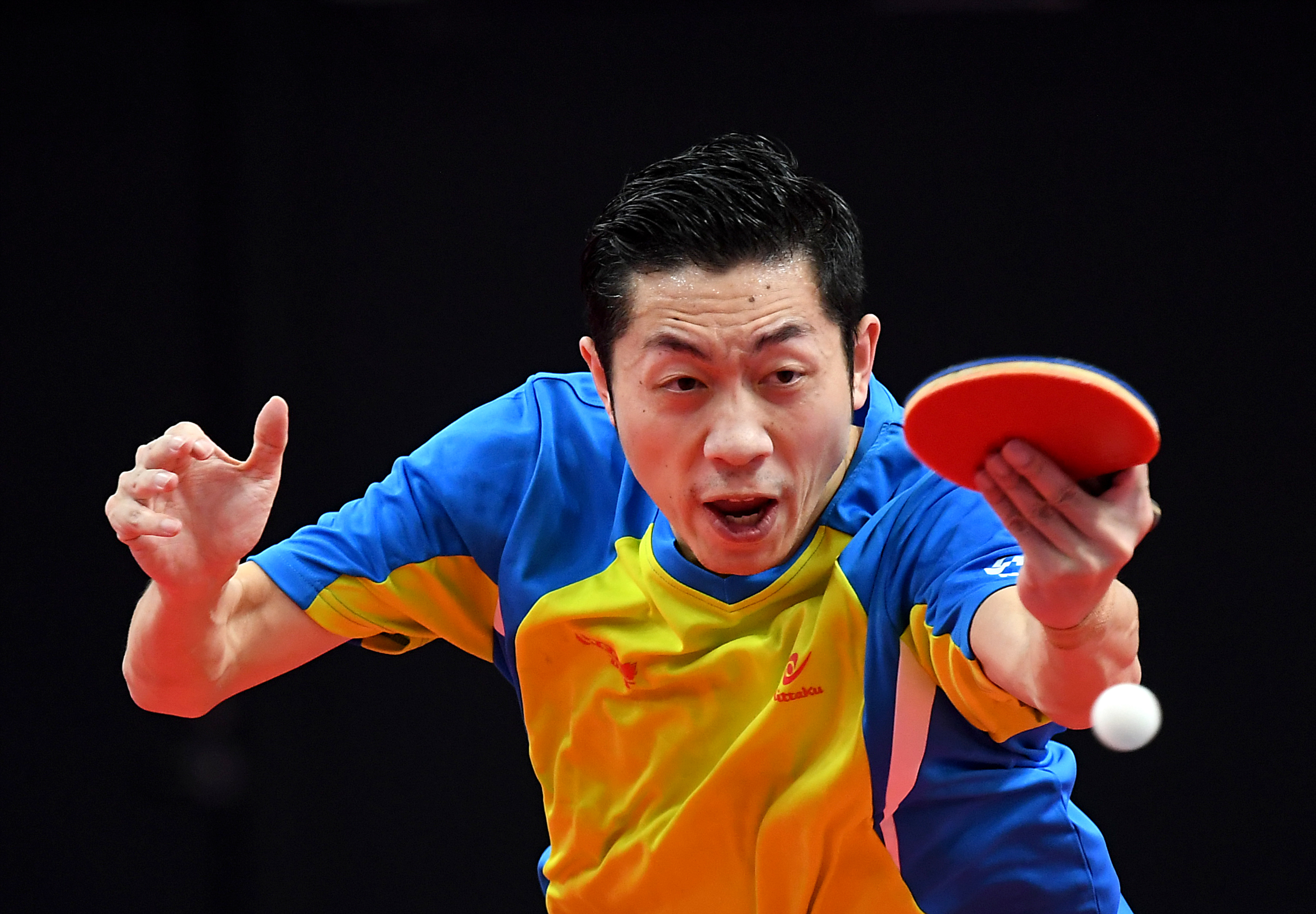 比利时乒乓球队完胜波兰乒乓球队，许昕惊艳世界的简单介绍