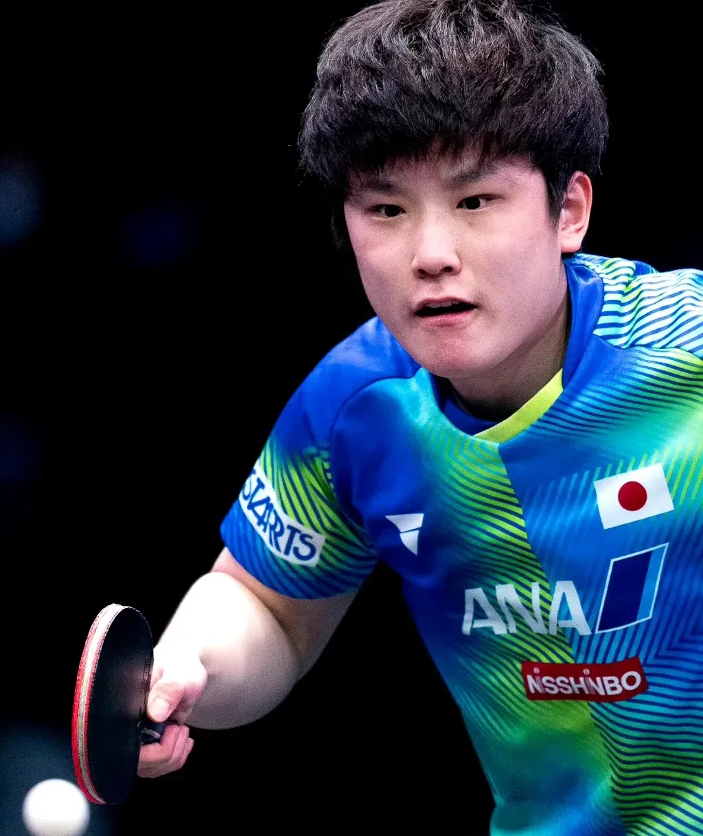 波兰乒乓球队力克比利时乒乓球队，张本智和绝境逆转的简单介绍