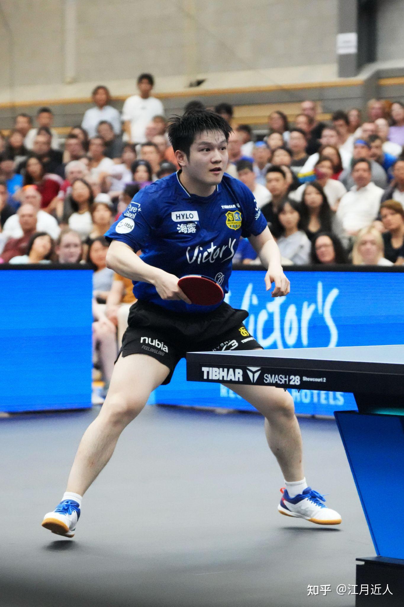 关于中国乒乓球队鏖战德国乒乓球队,樊振东绝境逆转的信息 关于中国乒乓球队鏖战德国乒乓球队,樊振东绝境逆转的信息